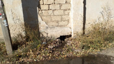сброс нечистот