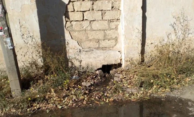 сброс нечистот