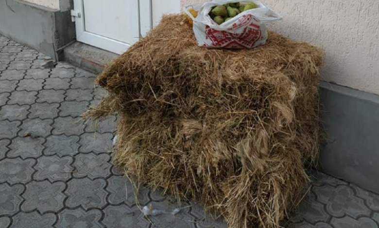 сено и фрукты