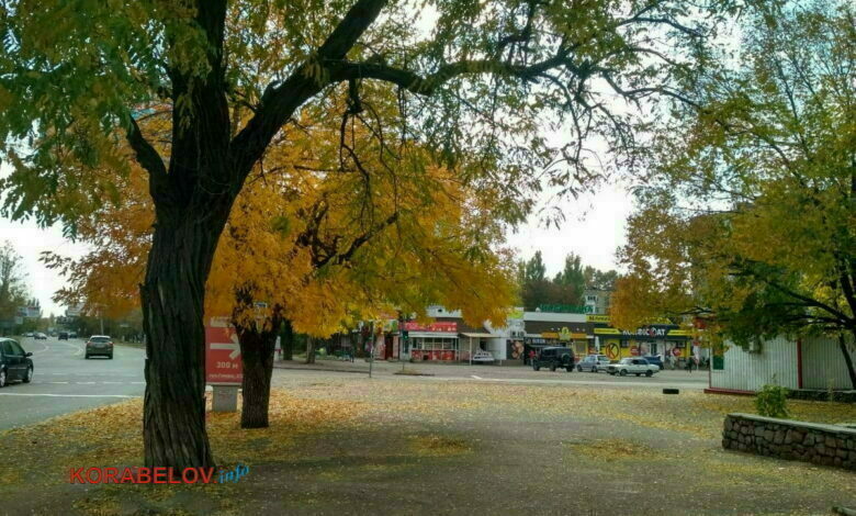 Корабельный район г. Николаева