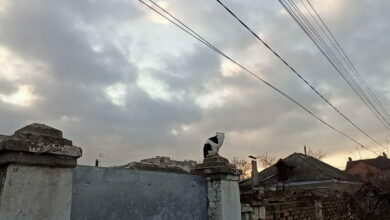 г. Николаев, в районе площади Победы