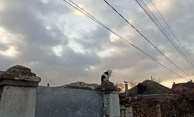 г. Николаев, в районе площади Победы