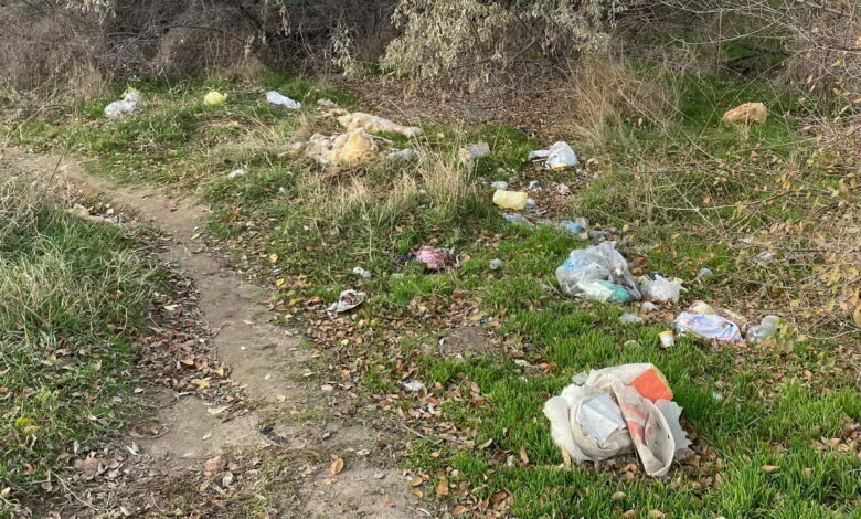 мусор на Ольжыча