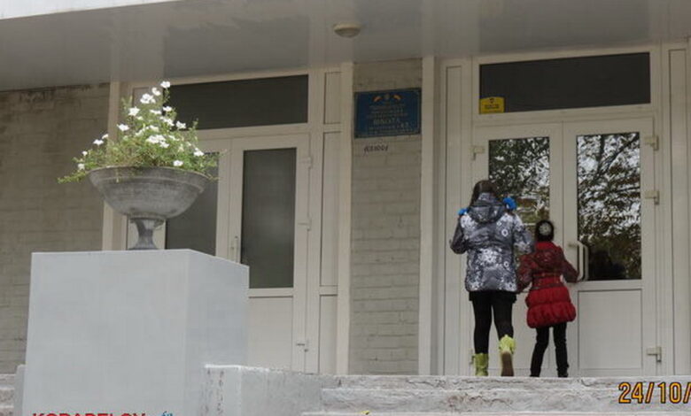 Николаевская школа 43