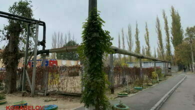 трубы отопления