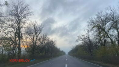 дорога на Николаевщине