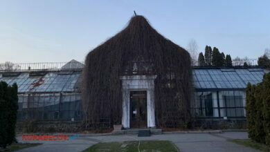 засохшие ветви на здании ВДНХ