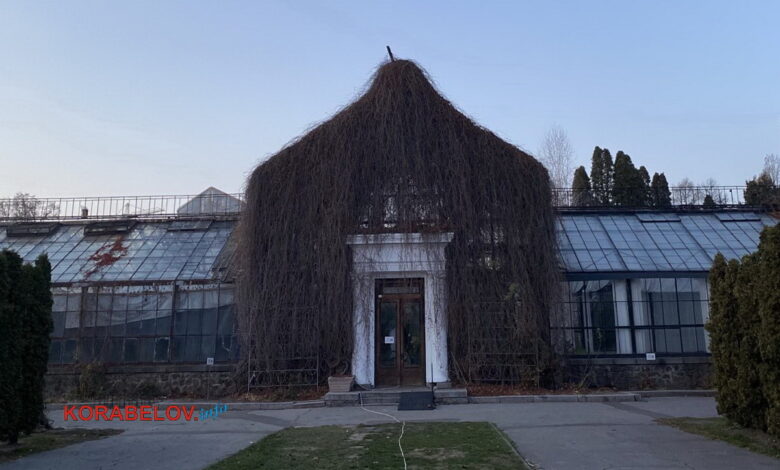 засохшие ветви на здании ВДНХ