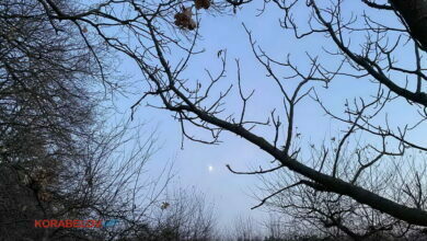 Вечер в саду