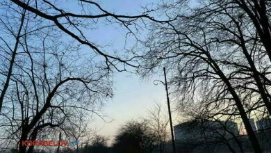 вечер в парке