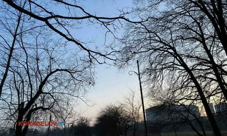 вечер в парке