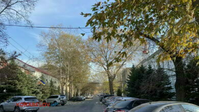 г. Николаев