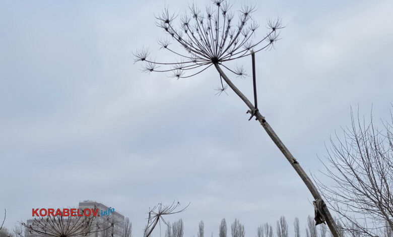 Украина, осень