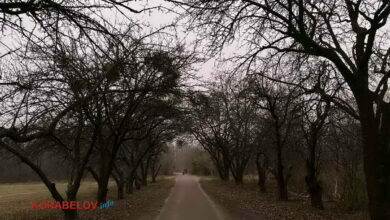 осенний сад