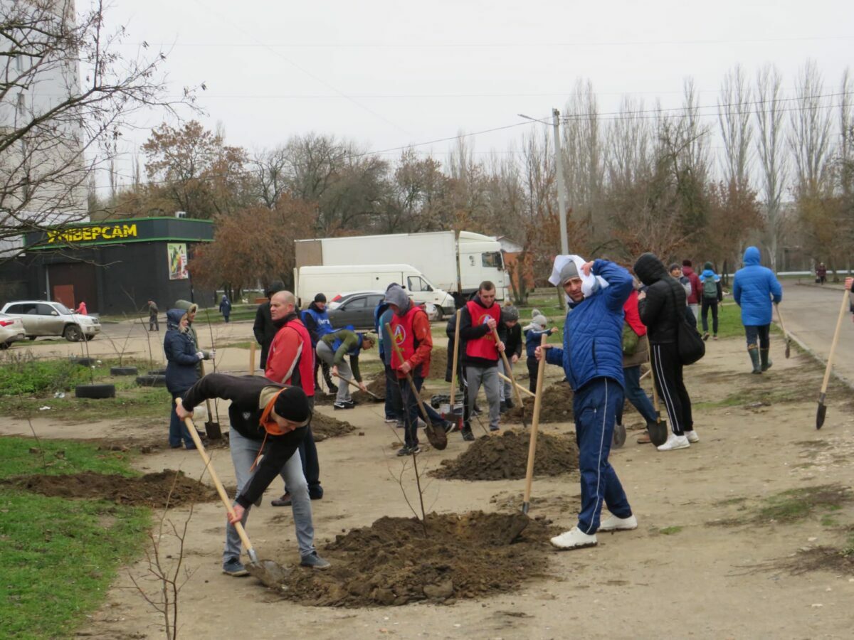 посадка лип в декабре 2021