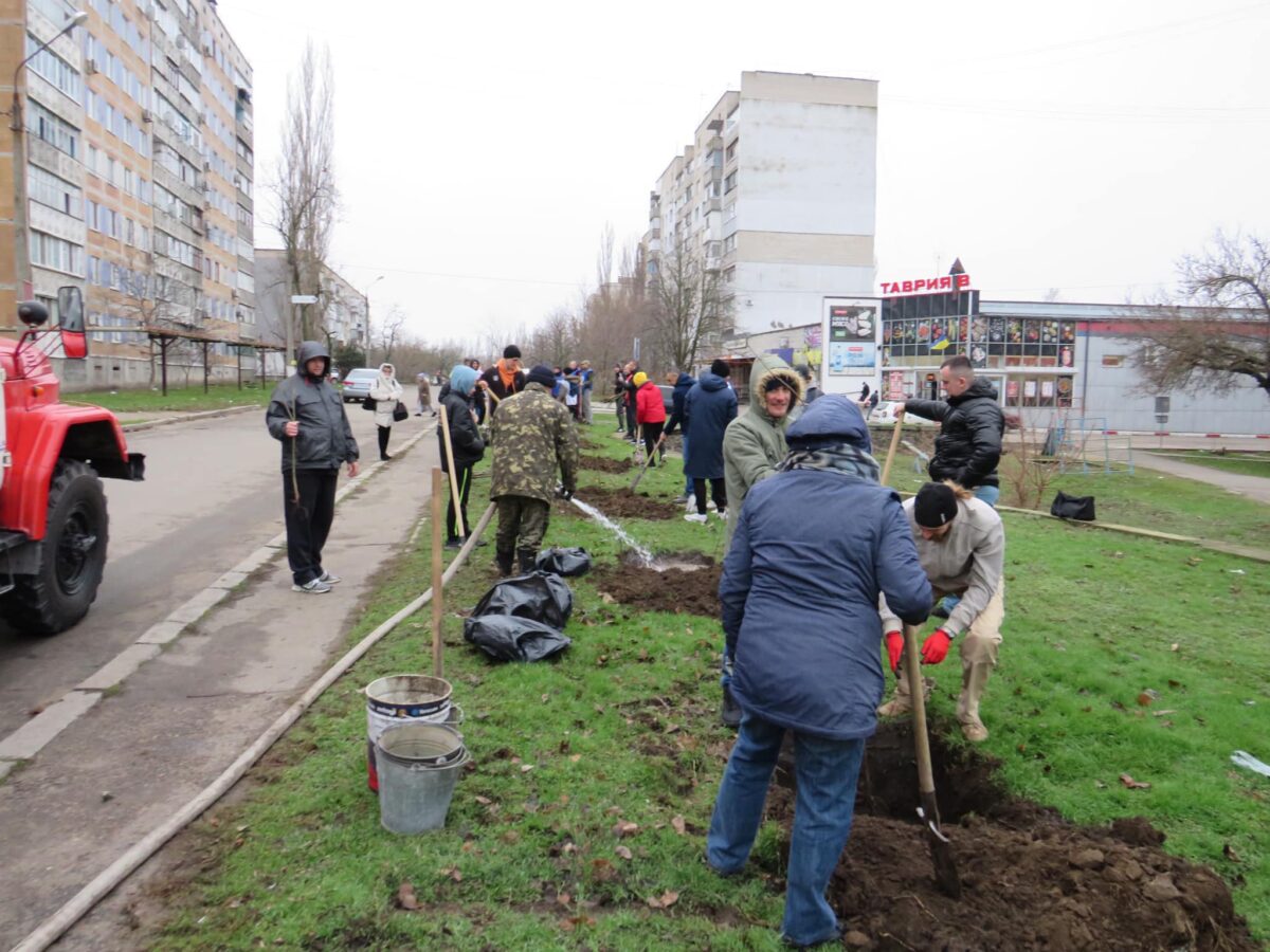 посадка лип в декабре 2021