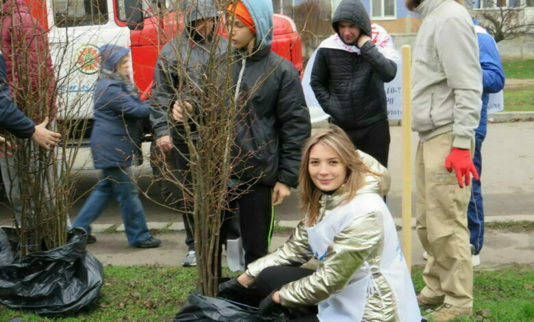 высадка лип в декабре 2021