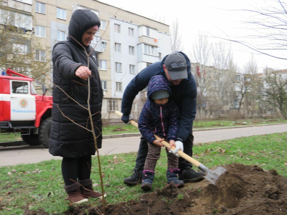 посадка лип в декабре 2021