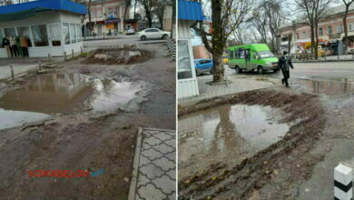 болото возле пр. Богоявленский, 311