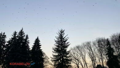 вечер, закат