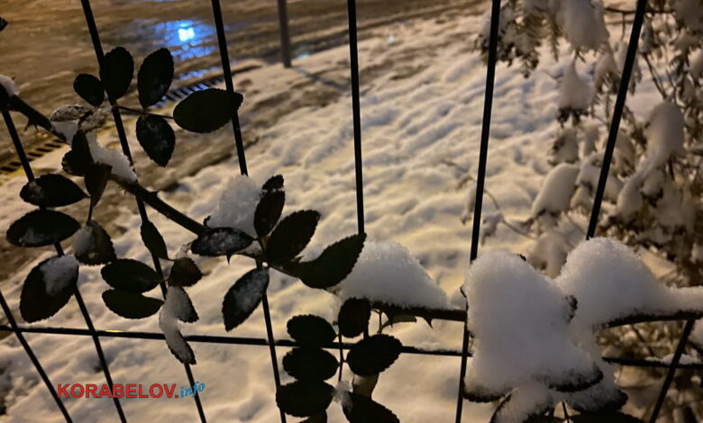 мокрый снег