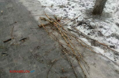 падают обледенелые ветки деревьев