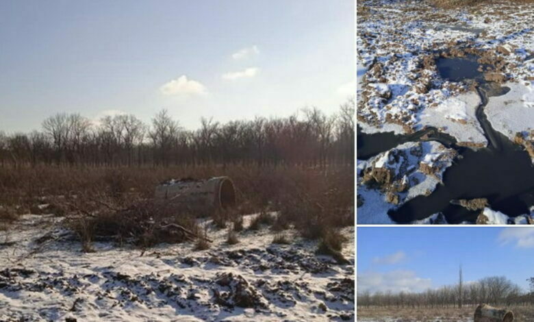 парк "Дружба"