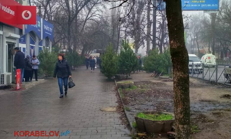 продаж ялинок у Корабельному районі Миколаєва