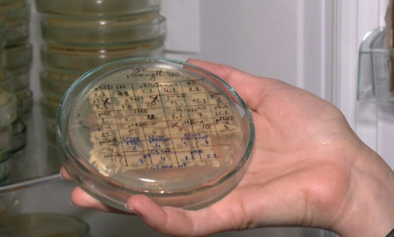 разработка вакцины