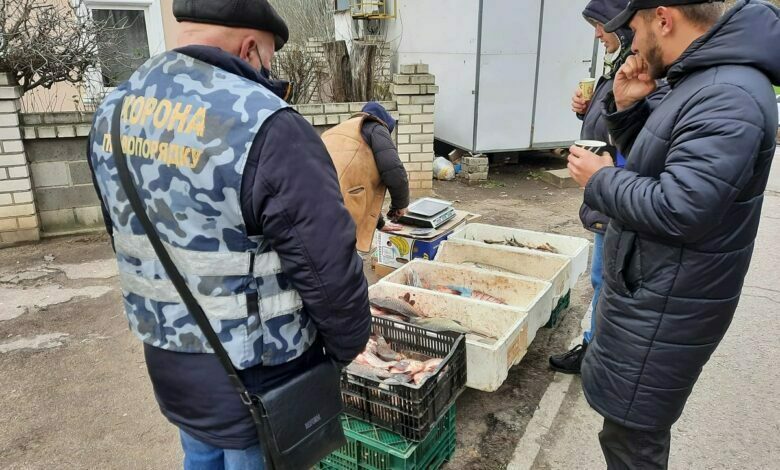 рейд против стихийщиков