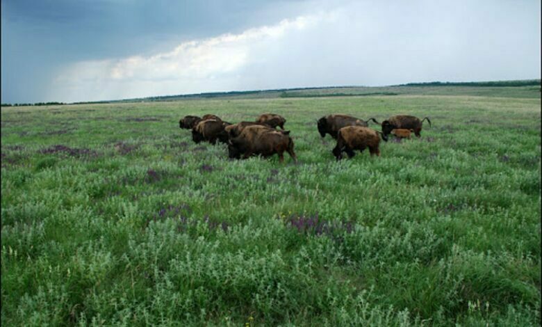 заповедник