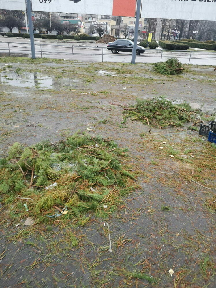 мусор после продажи елок