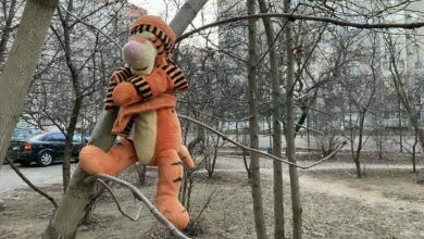 ул. Океановская в Николаеве