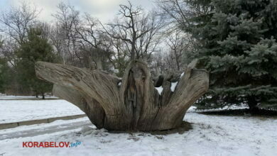 парк "Феофания" в Киеве