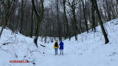 зима в Украине, г. Киев