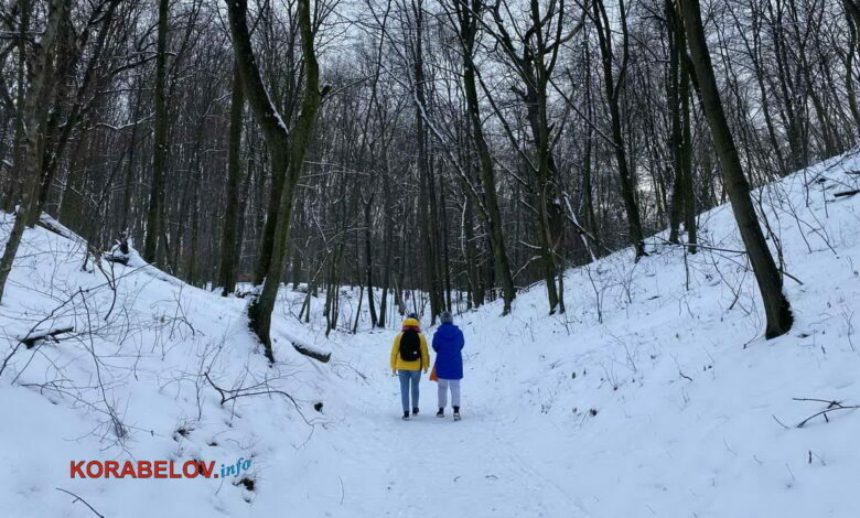 зима в Украине, г. Киев