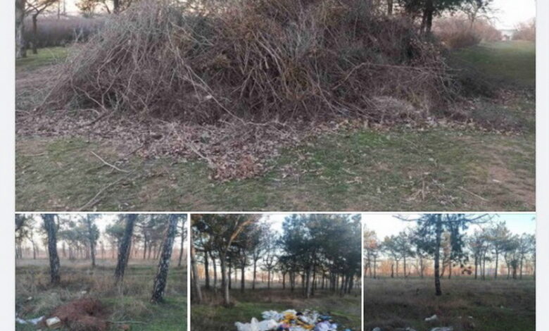 мусор в парке "Дружба"