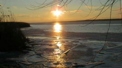 г. Николаев