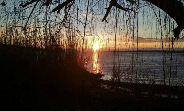 Берег лимана в Корабельном районе