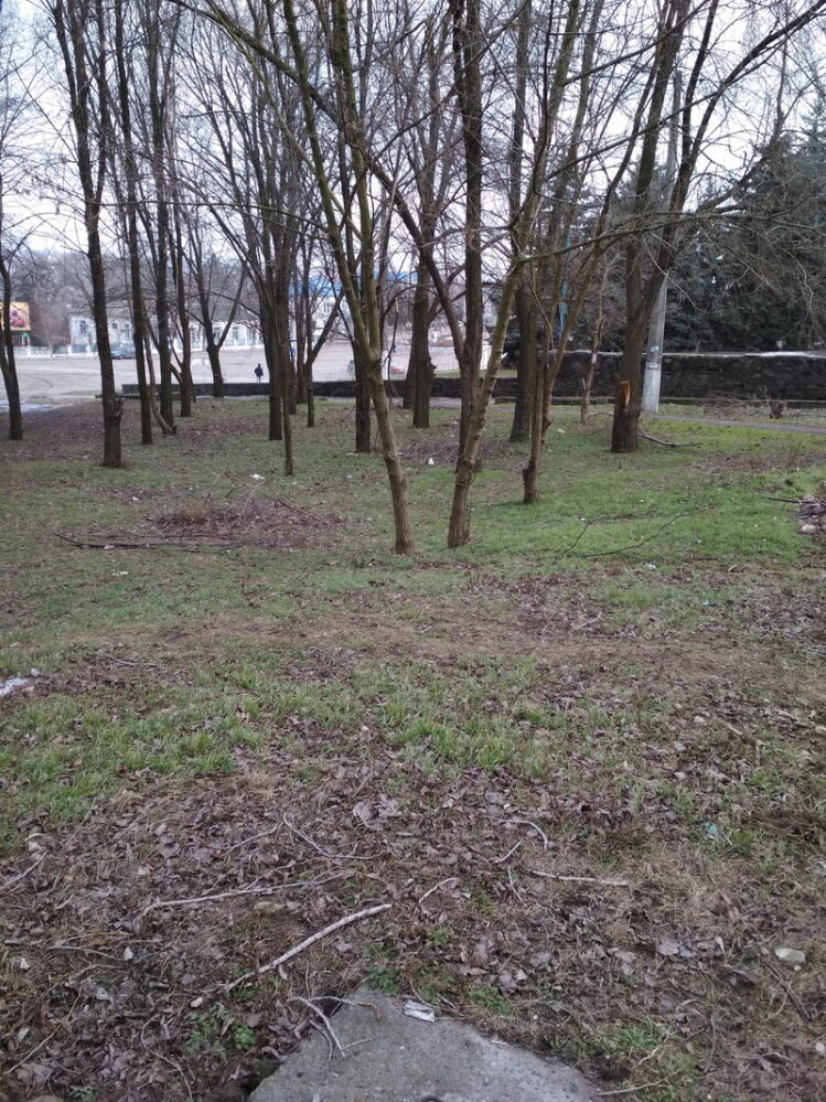 мусор, Янтарная 67