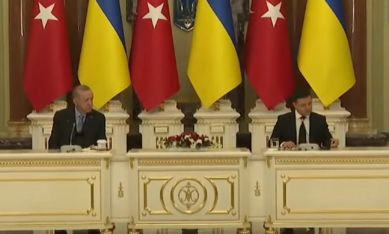 Раджеп Эрдоган и Владимир Зеленский