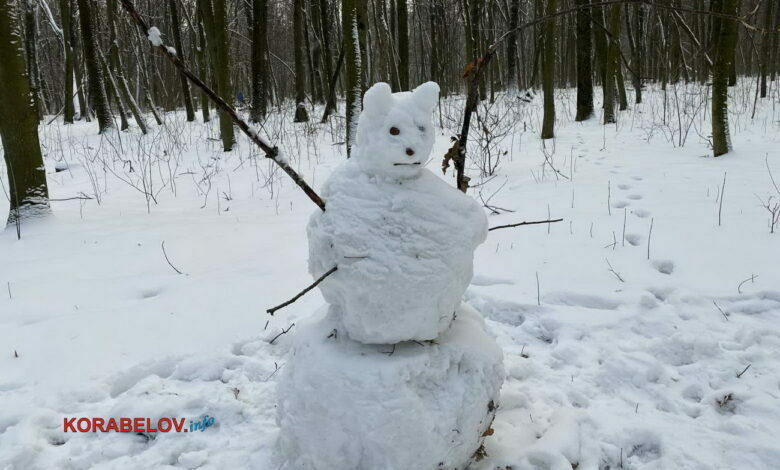 Недовольный снеговик