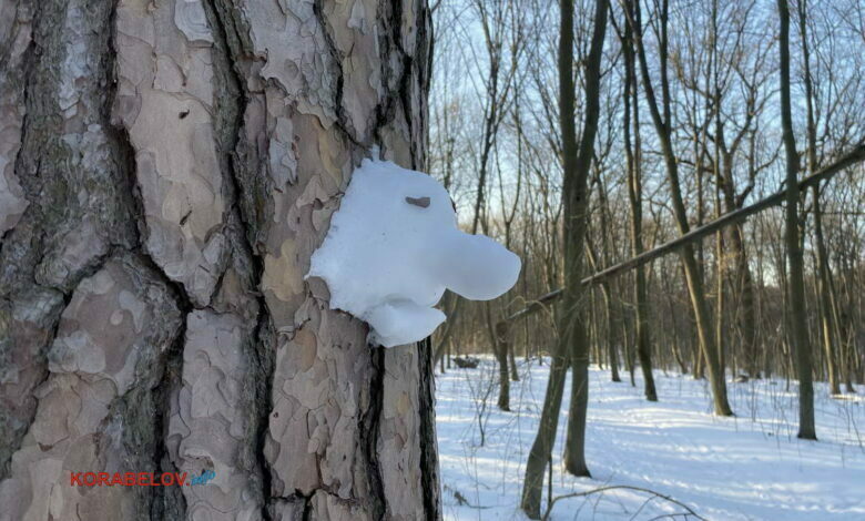 грусть