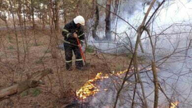 пожар в лесу