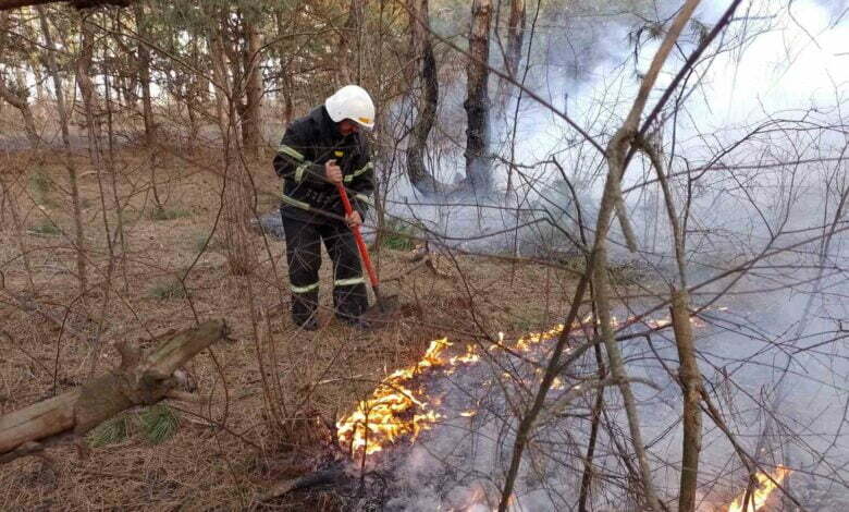 пожар в лесу
