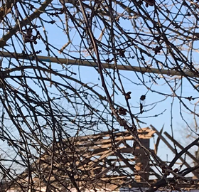 последствия артобстрелов в Прибугском (13.03.2022)