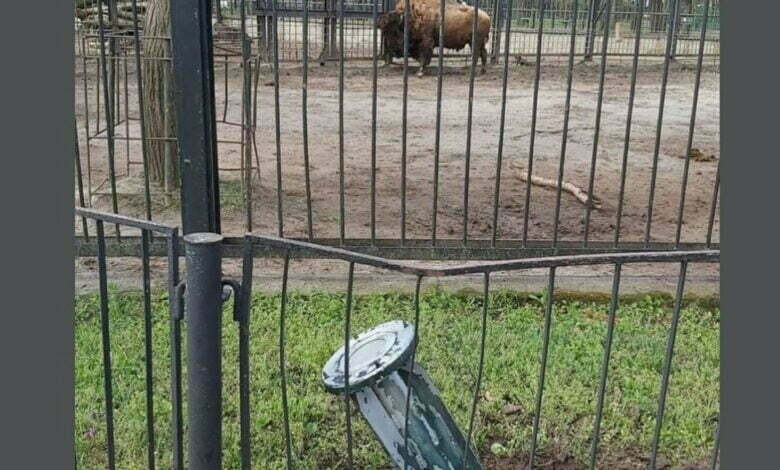 обстрел зоопарка