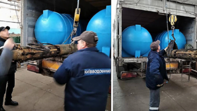 помощь Николаеву