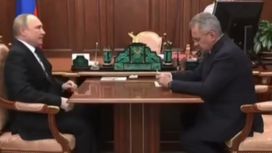 путин и шойгу