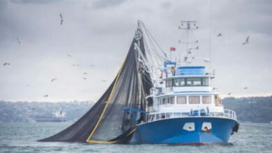 Турецкая рыболовецкая лодка, судно